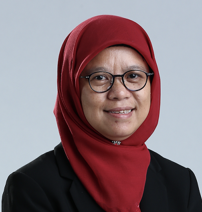 Professor Dr. Haniza Sarmin